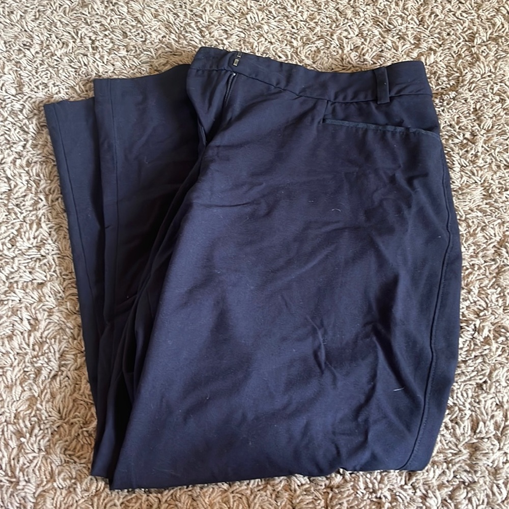 Lane Bryant “The Lena” Black Dress pant
